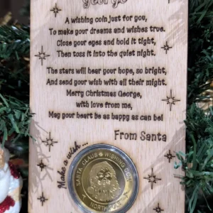Magic Wishing Coin